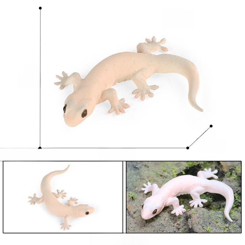 Насекомое Животное Образовательный Набор Моделей Пластиковые Фигурки Детское Обучение Школьное Домашнее