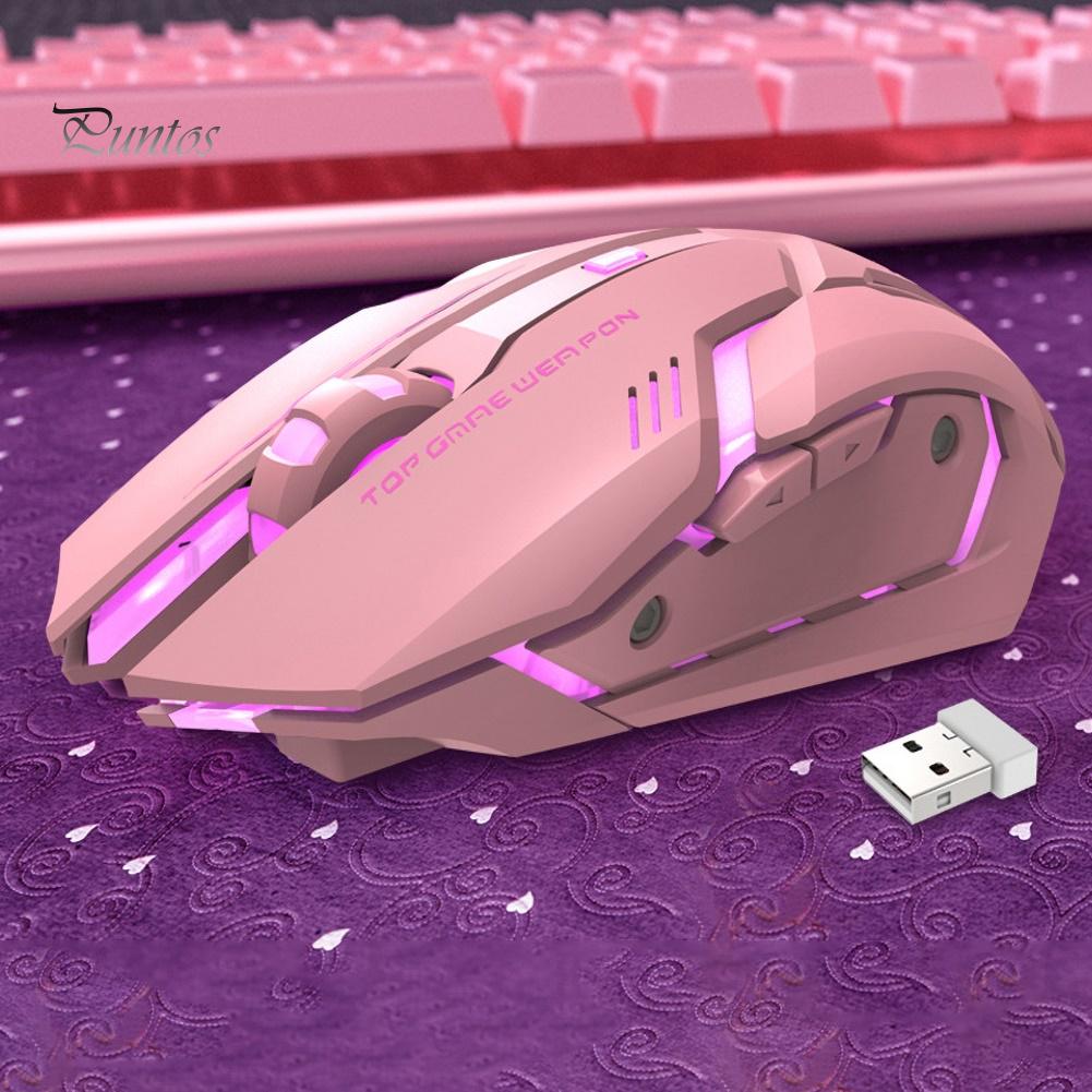 Puntos Rechargeable T1 Ergonomic 2.4G Silent Backlit USB Optical Wireless Gaming Mouse