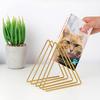 Storage Rack Multi-purpose Tidy Keeping Solid Color Triangle Shape Book Storage Shelf for Desktop
