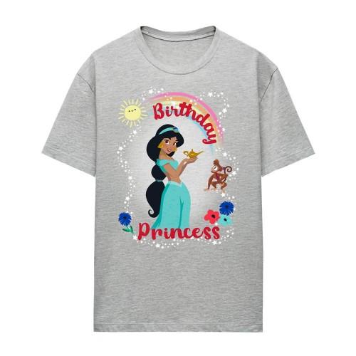 Aladdin Womens/Ladies Birthday Princess Jasmine Abu Heather T-Shirt