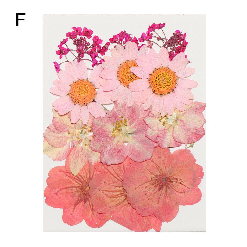 Filling Materials Jewelry Making Beauty Decal Resin Filler Resin Mold Filling Flower Dried Flowers