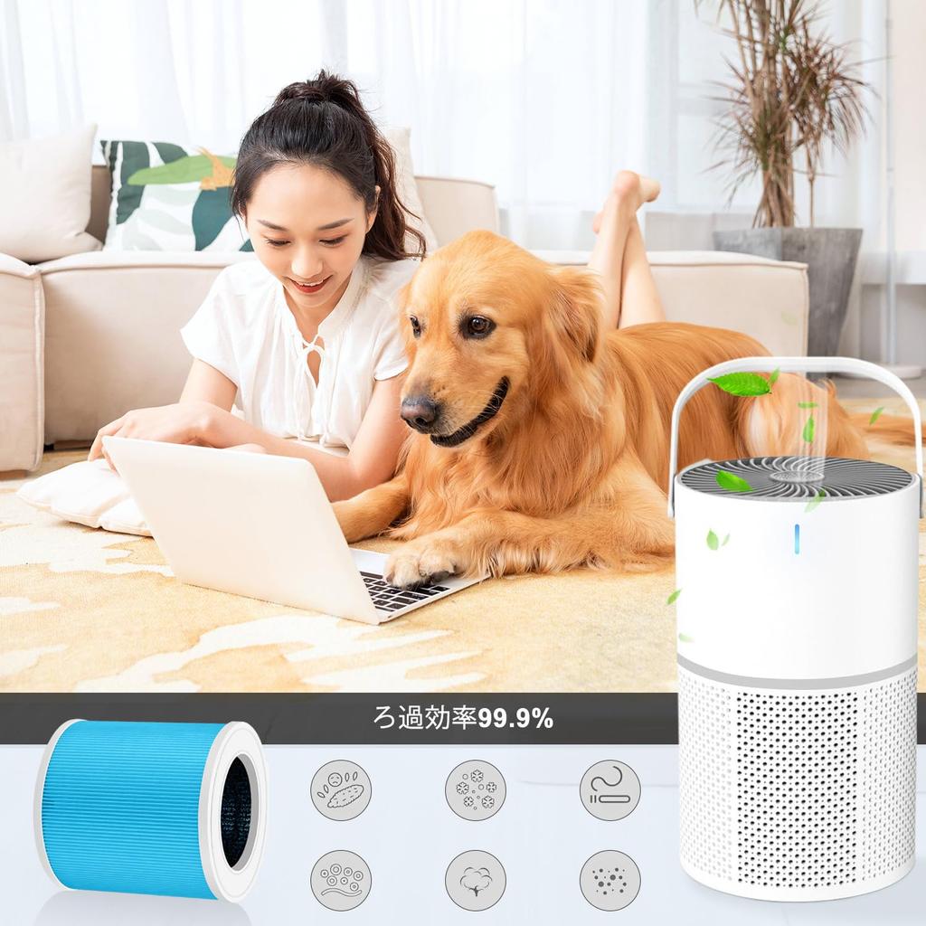 Очиститель воздуха CHNPOFNT совместим с очистителем воздуха WONSEFOO вместо фильтра GL-K802,MOOKA GL-K802A. (2 куска) [продукт]