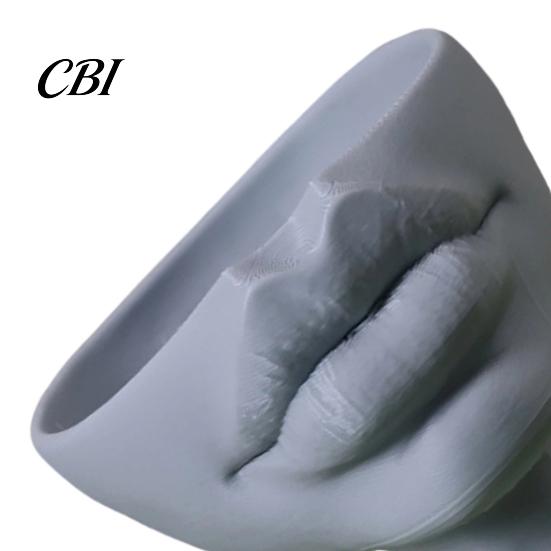 Succulents Plant Pot 3D Printed Lip-Shaped Flower Pot, Artistic Sculptural Planter with Matte Finish, Multifunctional Minimalist Desk Decor for Living