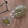 Growing Seed Germination Home Kitchen Sprouting Jars with Screen Lids 16/32oz Mason Jar Germinator