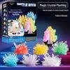 Handmade Magic Crystal Growing Christmas Tree DIY Science Kit for Kids
