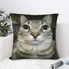 Подушка Чехол Смешные мемы про кошек Домашний декор для дивана, автомобиля