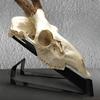 European Deer Skull Mount Hanger,Display Rack Home Decor Hanging Head Iron Bracket Table Top