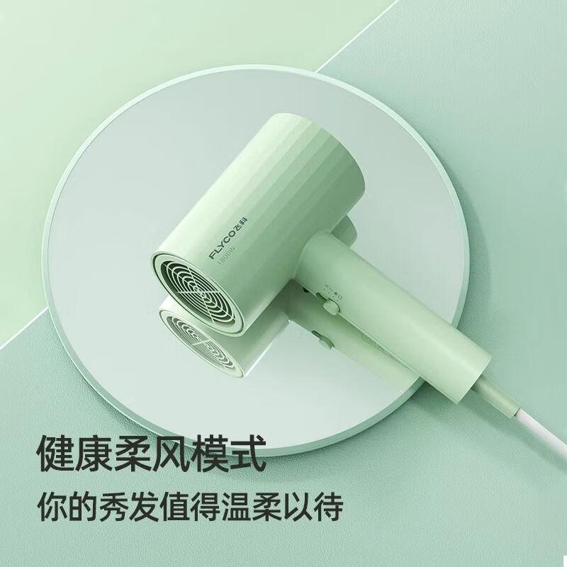 Feike FLYCO Household Hair Dryer
