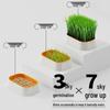 Hydroponic Wheat Grass Kit for Cats & Dogs - Hairball & Digestive Aid