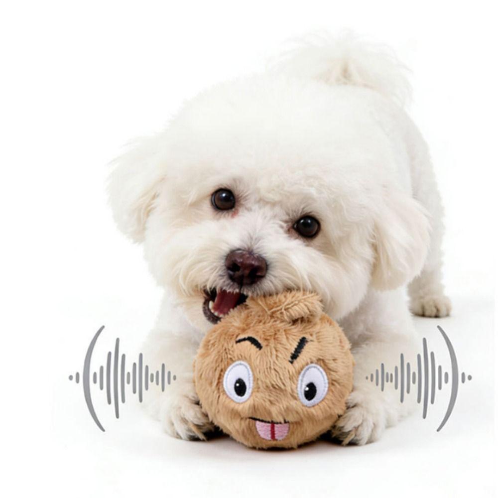 Bite Resistant Dog Elastic Ball Money Bag Shape Pet Interactive Ball Interactive Play