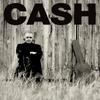 Виниловая пластинка JOHNNY CASH American Ii Unchained 180г B001919601 AMERICAN 2014 США Рок