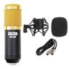SD GAZER BM-800 Black Condenser Microphone