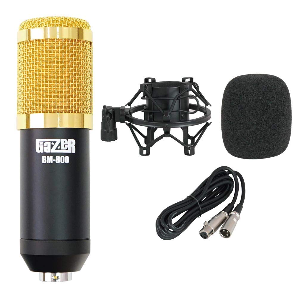 SD GAZER BM-800 Black Condenser Microphone