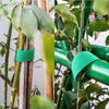 Nylon Plant Bandage Ties Black Green Garden Twine Plants Tie Velcro Fastener Tape Garden Hook Loop Bamboo Cane Wrap Support 5M