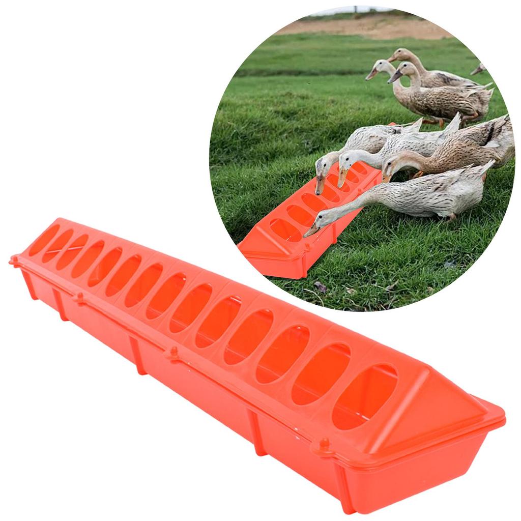 Plastic Top Poultry Feeder Birds Feeding Trough for Livestock Pigeon Cockatiels