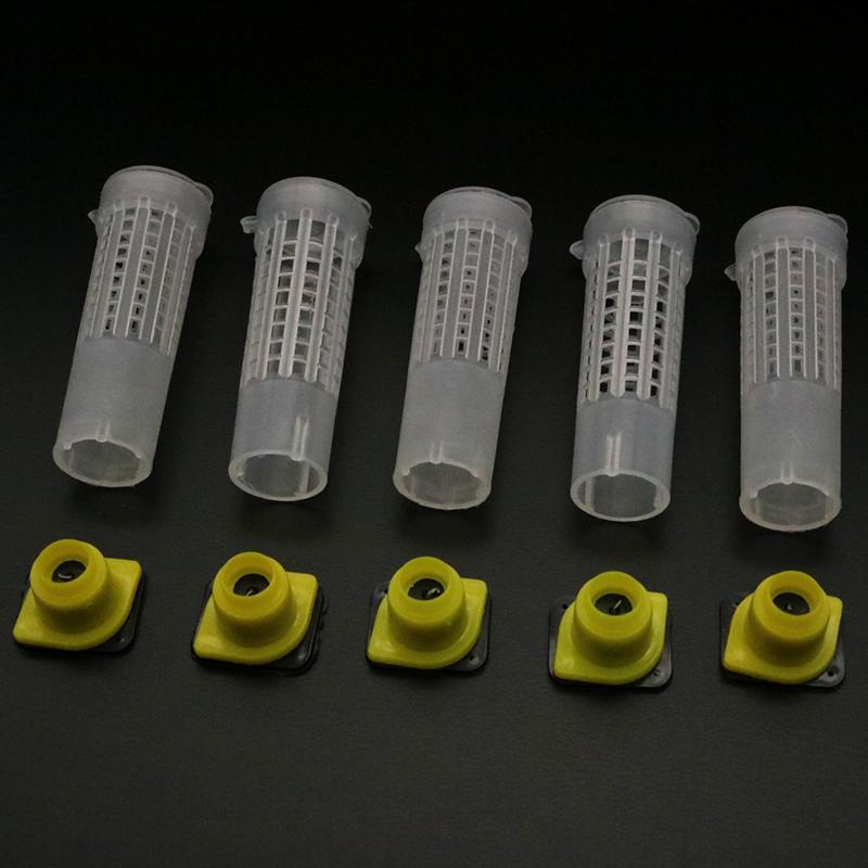 Complete Bee Queen King Rearing Kit System Cages Bees Tools Set Supplier Tool Equipment Base Celular Cells Cell Beekeeping