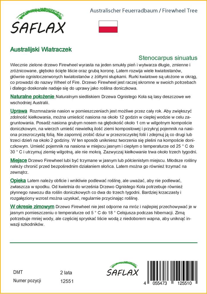 SAFLAX Дерево Firewheel Tree - 20 семян - С горшечным субстратом для лучшего выращивания - Stenocarpus sinuatus