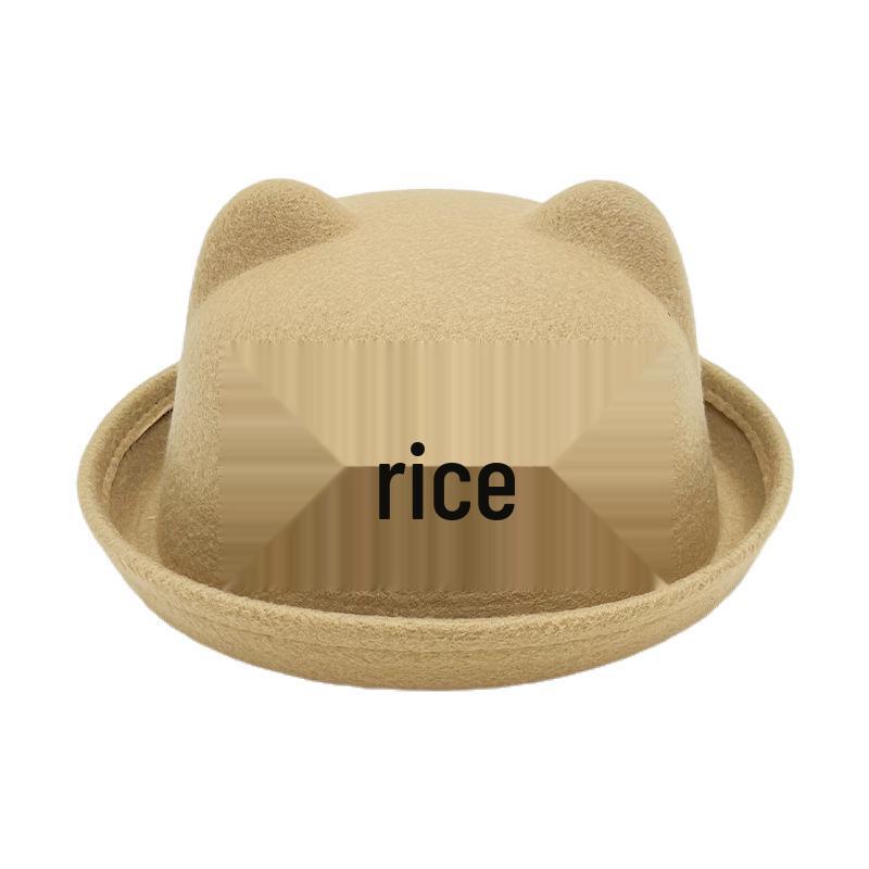 Autumn/Winter Kids' Cute Cat Ears Fedora: Korean/British Style Sunshade Wool Felt Fisherman Hat for Boys and Girls.