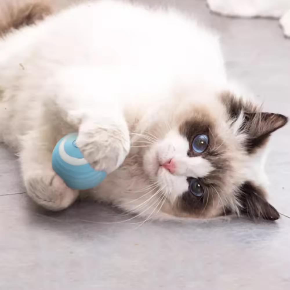 Умный кот, игрушки с катящимся мячом, перезаряжаемые игрушки для кошек, мяч, движущийся мяч, самодвижущиеся игрушки для котят, интерактивные игры в помещении