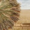 Reed Box Pampas Grass Dried Flower Decoration