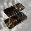 D-DTR R-Rehman Чехол для телефона iPhone 17,16,15,14,13,12,11 Plus,Pro Max,XS,Цветной Серебристый Чехол для телефона Funda Cover
