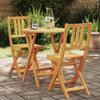 VidaXL 3-Piece Folding Bistro Set In Solid Acacia Wood 4105512