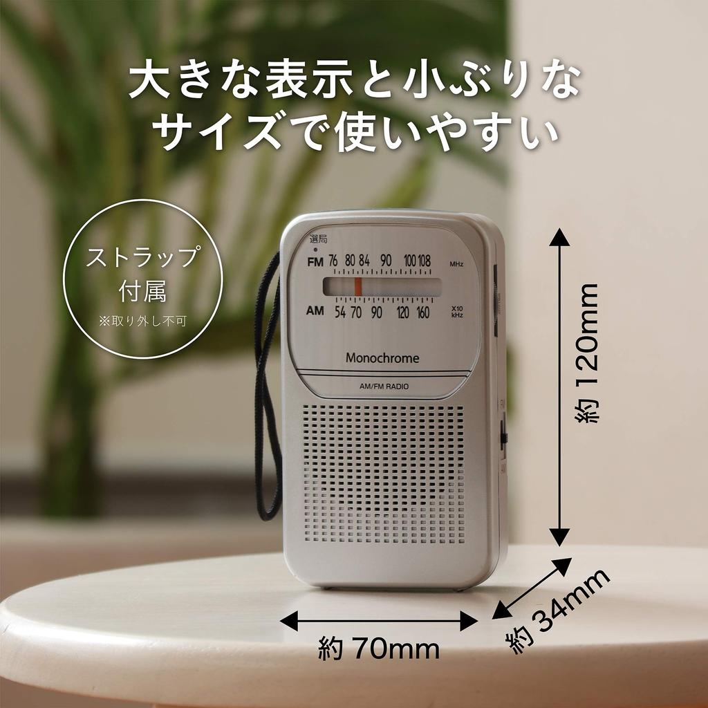 Monochrome Radio USB Charging Dry Battery Power Switchable Silver AM/FM SAD-M726/S