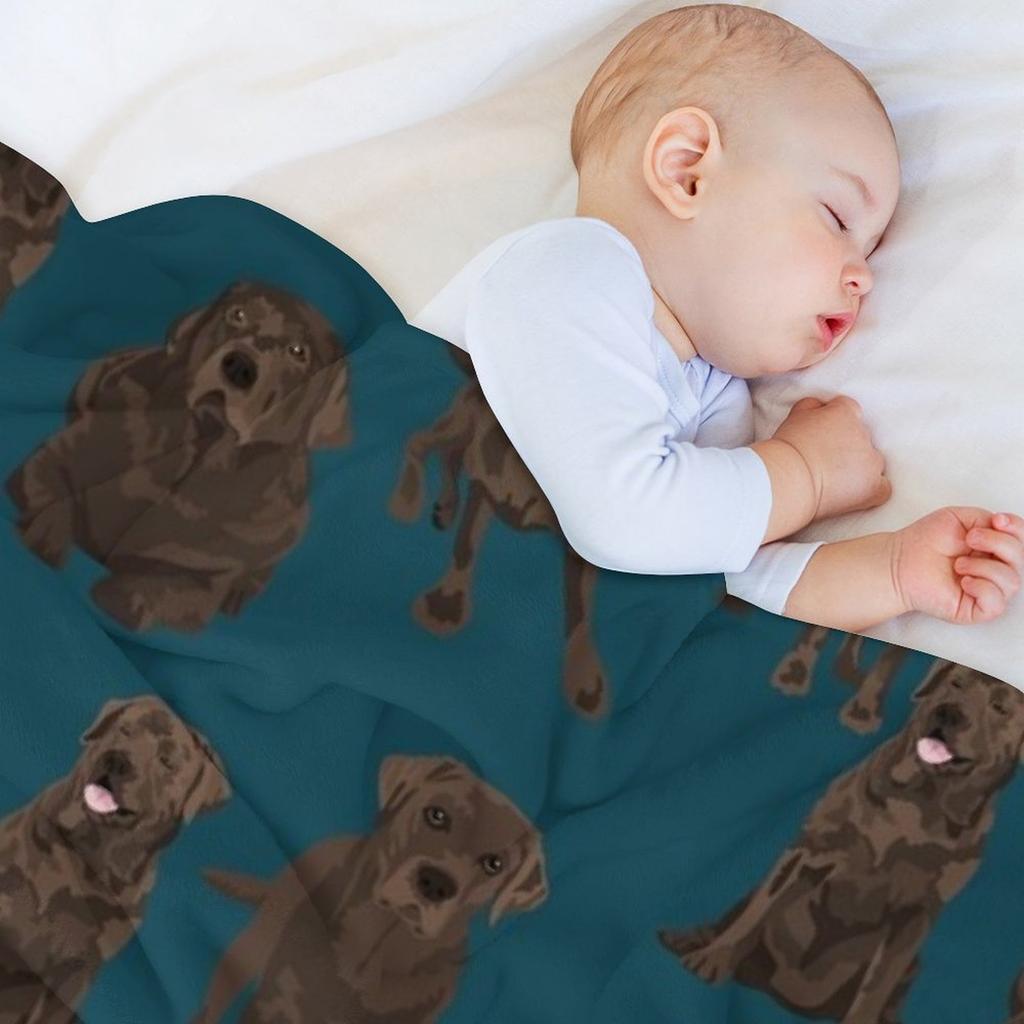 Chocolate Labrador Throw Blanket Luxury St cosplay anime Luxury Brand Furry Blankets