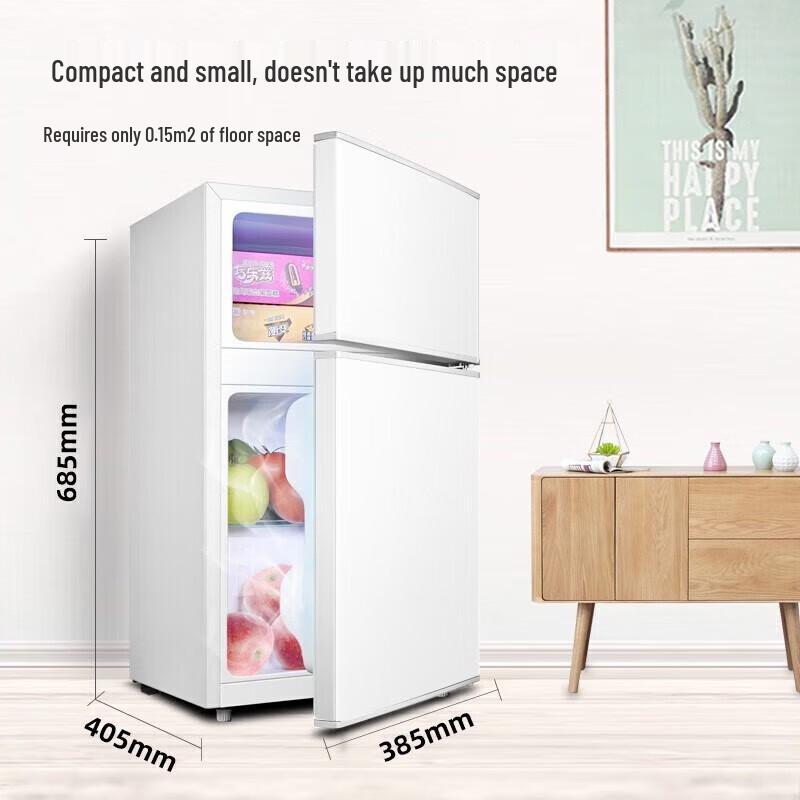 Royalstar 58L Mini Double Door Refrigerator CN plug (adapter included)