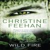 Wild Fire by Christine Feehan Paperback Book 9780349400075