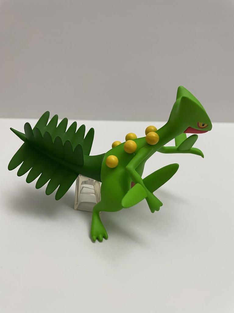 [USED] Pokemon Scale World Hoenn Region Sceptile