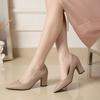 Женские каблуки Женская обувь Массивный каблук Женские туфли-лодочки Офисные женские рабочие туфли Однотонные с острым носком Туфли для платья Весна Осень WSH4845
