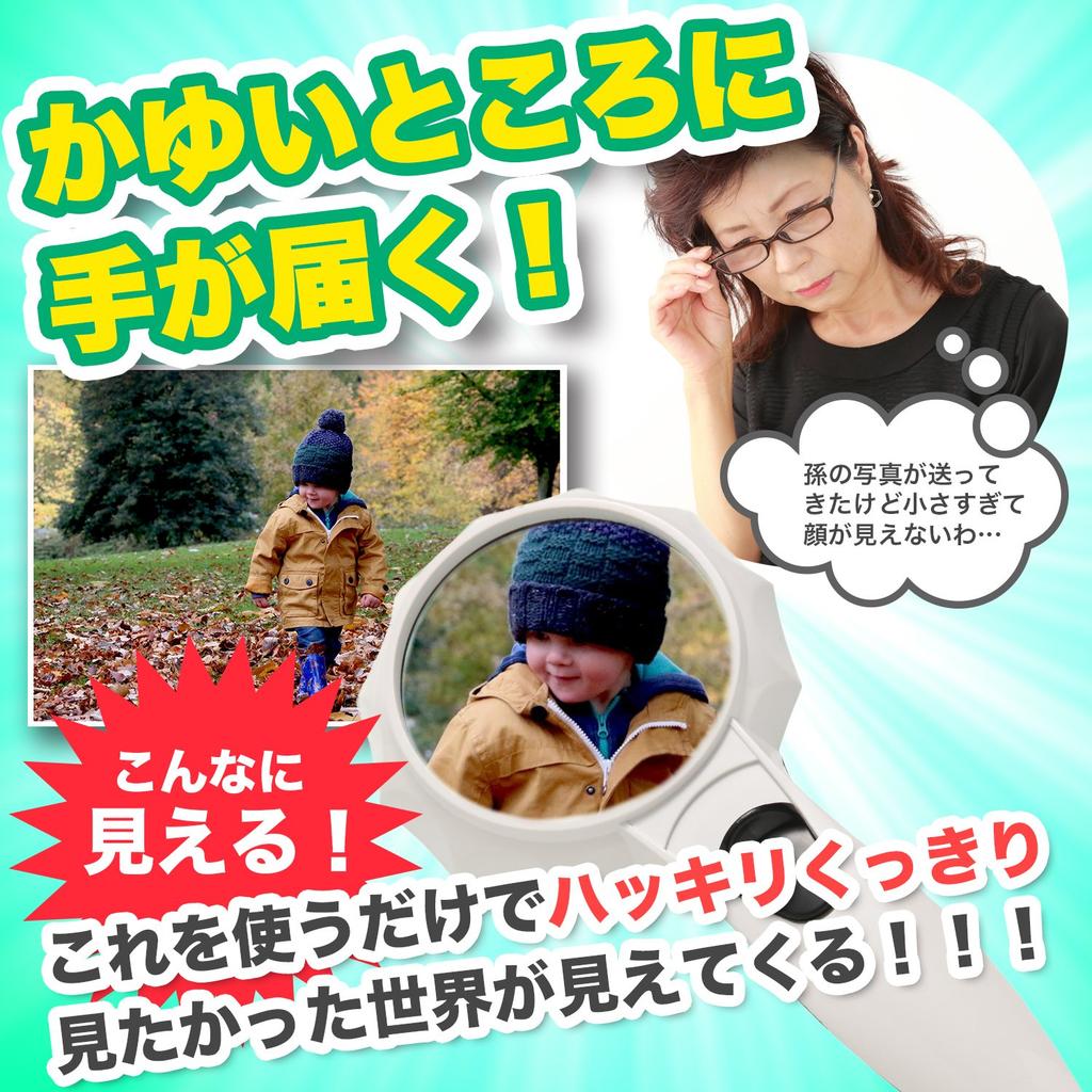 Phoenix Hand Magnifier [4x Magnification] Ideal for Work, Newspapers, and Reading  2 Brightness Adjustable Settings  LED Light Included 45-Day