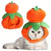 Pet Gourd Hat (1pc) – Dog Dress-Up Headdress, Cat Dress-Up Exposed Ears Head Set