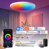 Smart WIFI LED Round Ceiling Light RGBCW Tuya APP Voice Control Dimmable AC 85-265V 24W Compatible with Alexa Google Assistant