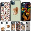 Чехол для телефона с рисунком животного и белкой для iPhone 13 11 Pro Max 12 mini X XR XS Max 6S 7 8 Plus SE 2020, задняя крышка