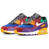 Nike Air Max 90 'Viotech' Мужские CD0917-600