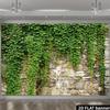 2D Фон: Каменная стена, увитая натуратым плющом. Фотофон с зеленью для улицы.