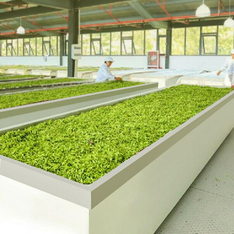 Чай Бама Анжи Байча Натуральный весенний новый чай Полезный травяной чай