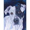 5D Алмазная вышивка собака полная круглая квадратная алмазная живопись животное полная квадратная смола дисплей изображение страз домашний подарок