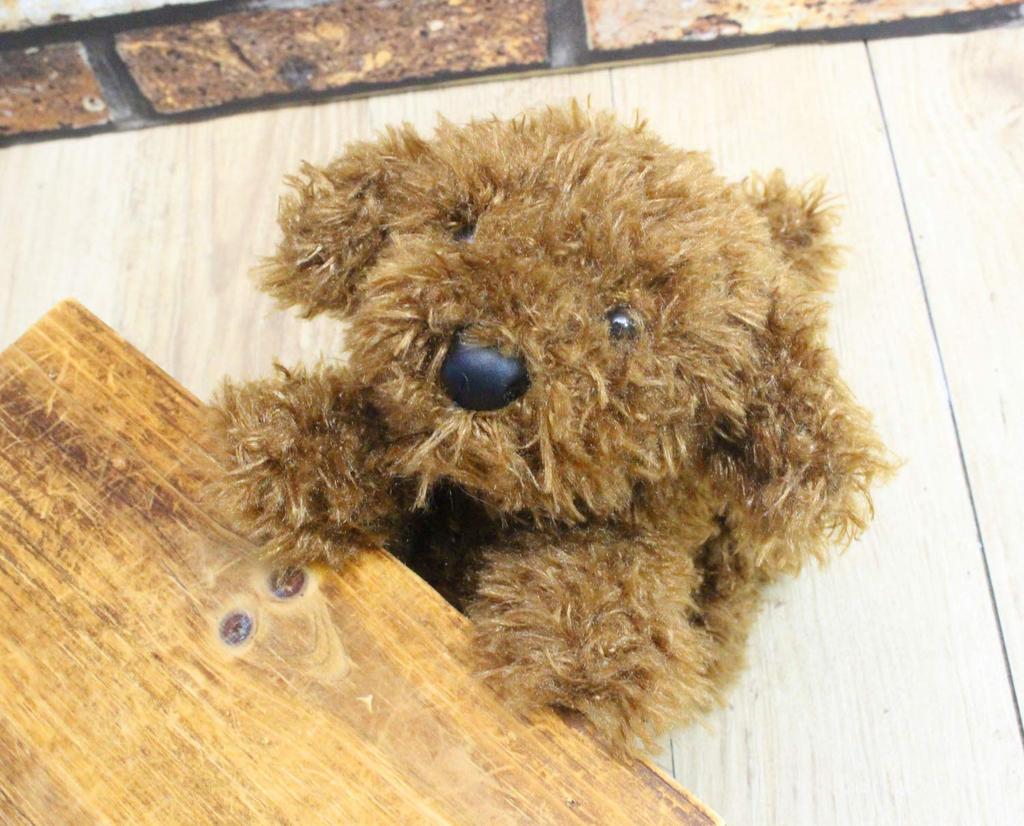 Shinada Bean Puppy Poodle 9×2×15.5 см Мягкая игрушка Товары для животных Разные товары MMTP-0248