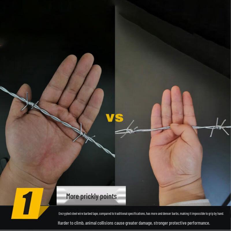 Barbed Wire Security Fence