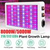 8000W Full Spectrum LED Grow Light Growing Lamps for Plants Indoor Flower Phytolamp for Greenhouses Grow Tent Box