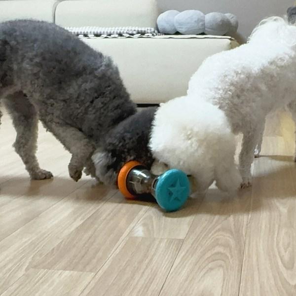 Игрушка для собак Doggie Norit Puppy Nose Work Sniff Sniff Ball, 2 шт.