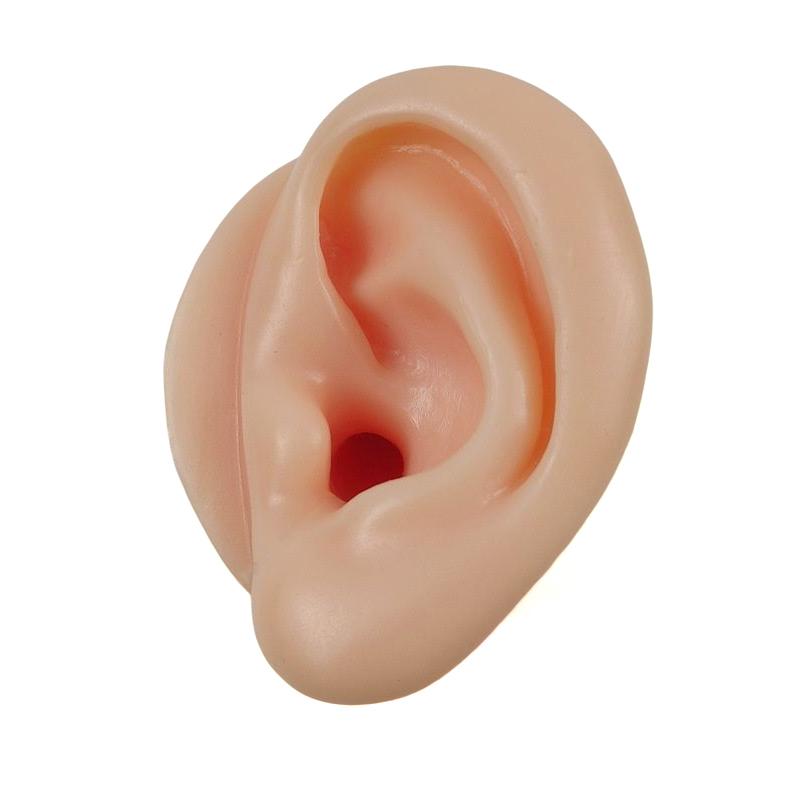 1/2Pcs Silicone Ear Model Impression Taking Training Ear Picking Practice