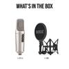 RODE Microphones NT2-A Condenser Microphone