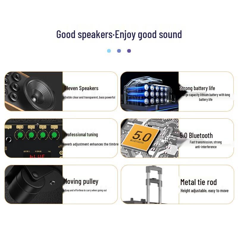 Suoai 12-дюймовый портативный Bluetooth KTV динамик