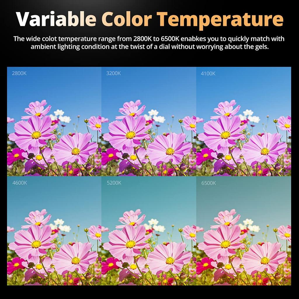 Authorized Godox ML60Bi LED Light 60W Color Temperature Handheld LED Video Light Photography Auxiliary Light CRI TLCI Brightness Adjustment Quiet Fan