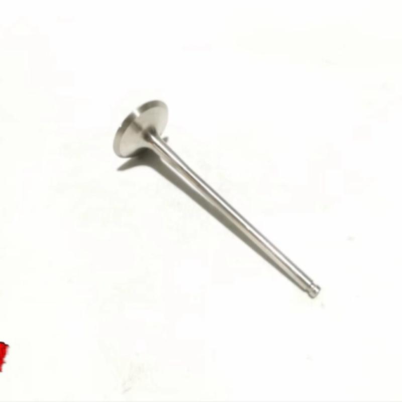 Motorcycle Accessories BJ750GS/752S Exhaust Valve Intake Valve BJ800 Valve Oil Seal