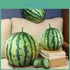 Плюшевый Арбуз 3D Игрушка Фрукт Мягкая Кукла Мультяшный Декор для Спальни Подарок Детям